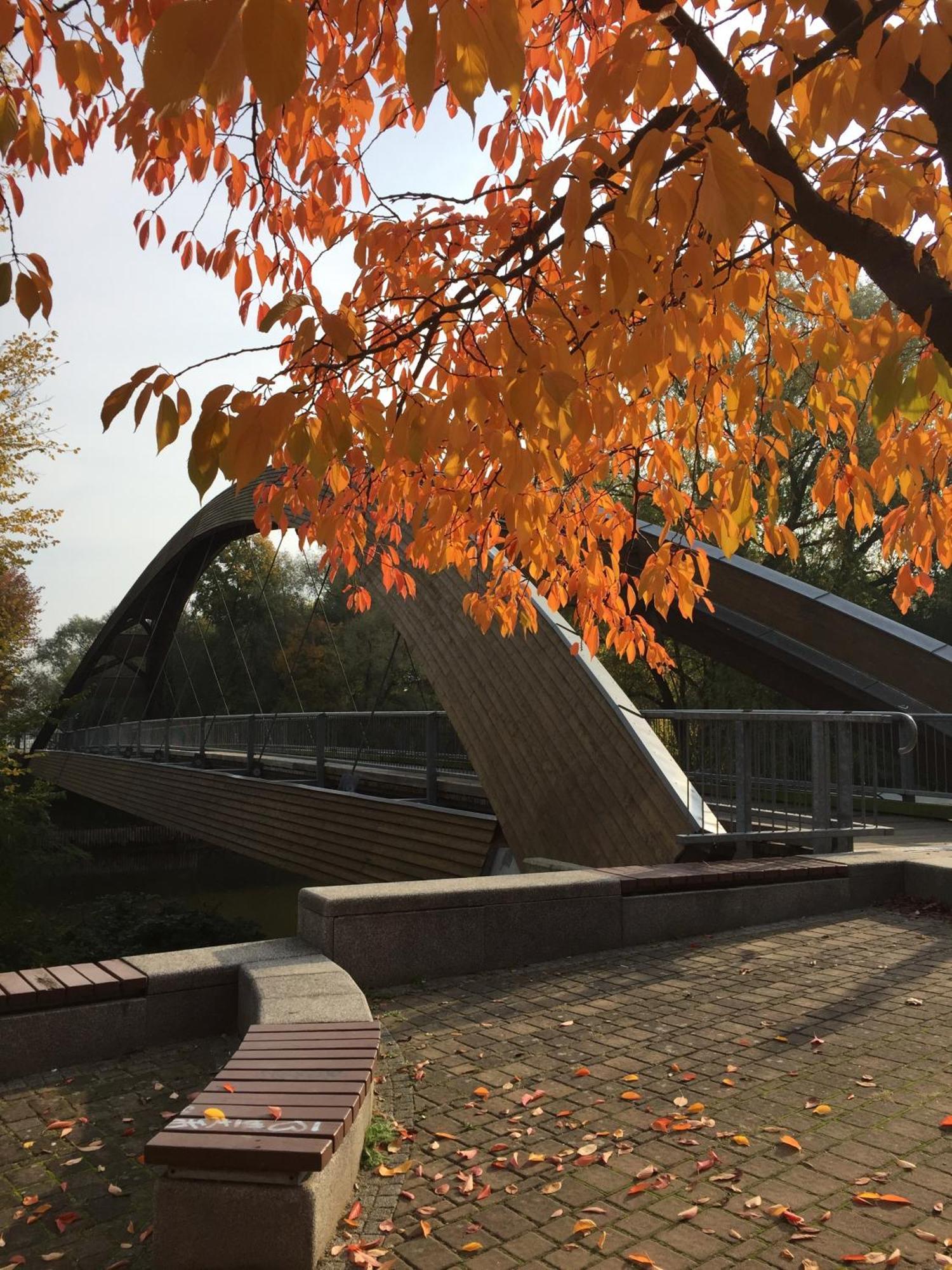 Viadrina Rooms & Apartments Frankfurt-Oder Am Park Im Zentrum フランクフルト・アン・デア・オーダー エクステリア 写真